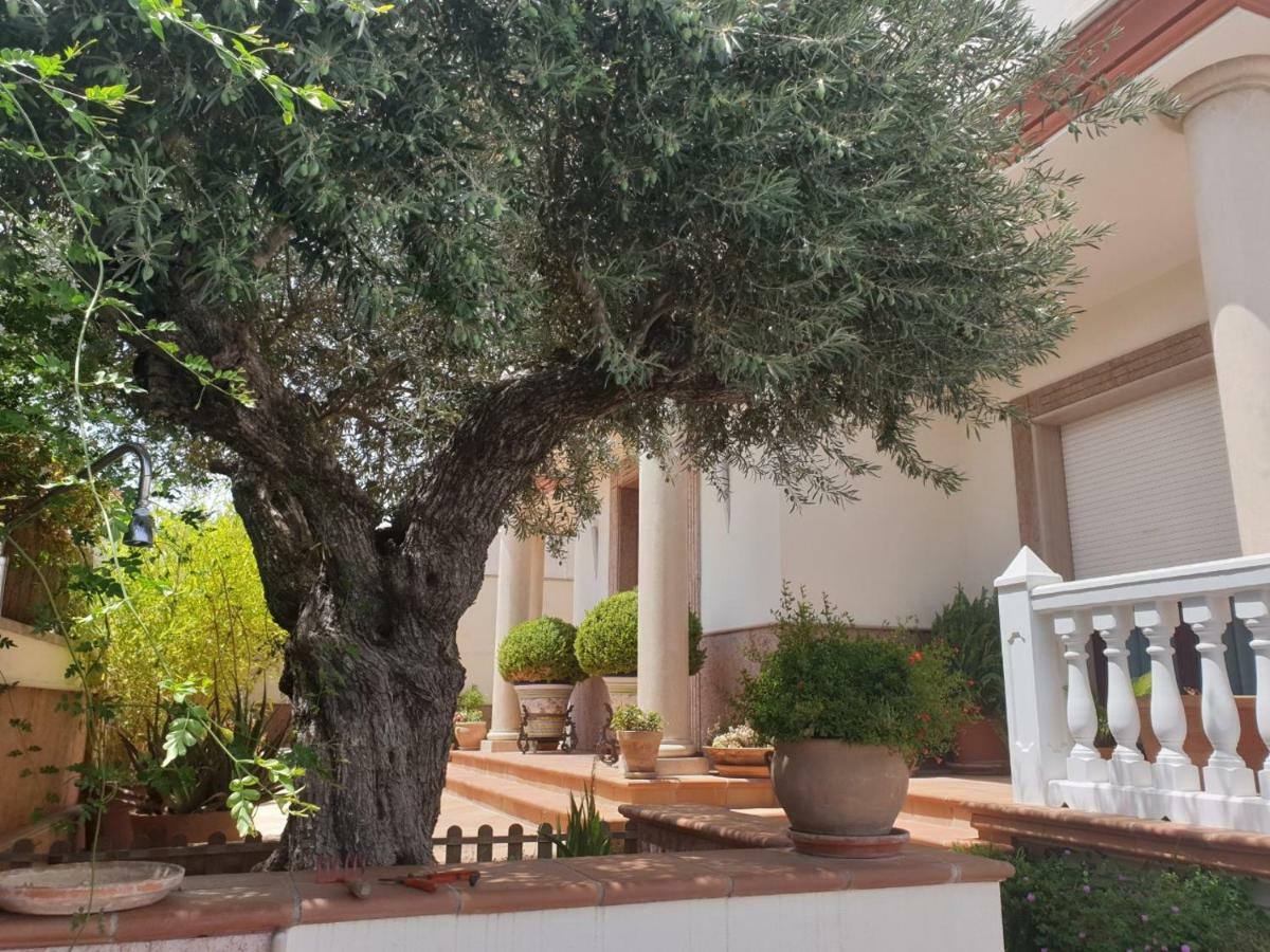 Alojamiento El Olivo Ronda Exterior photo
